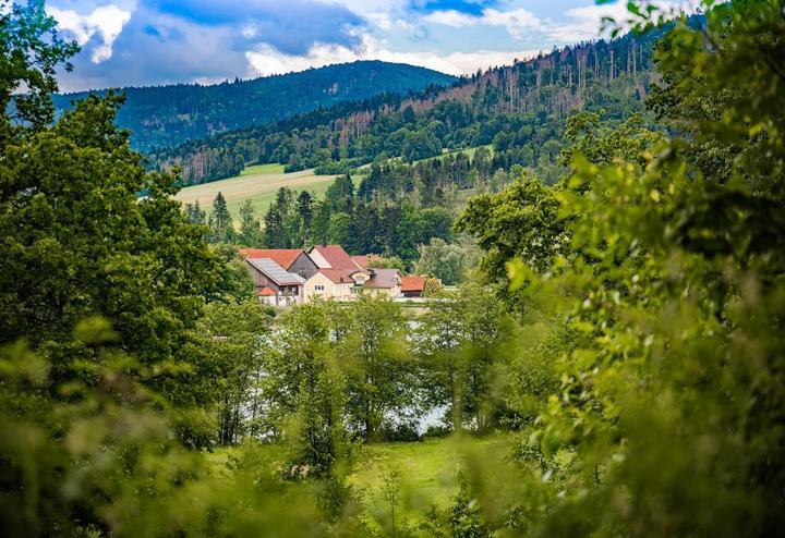 Hotel 'Der Seehof'